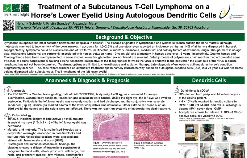 Poster: Treatment of a Subcutaneous T-Cell Lymphoma on a Horse’s Lower Eyelid Using Autologous Dendritic Cells